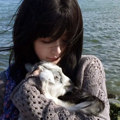 猎狐